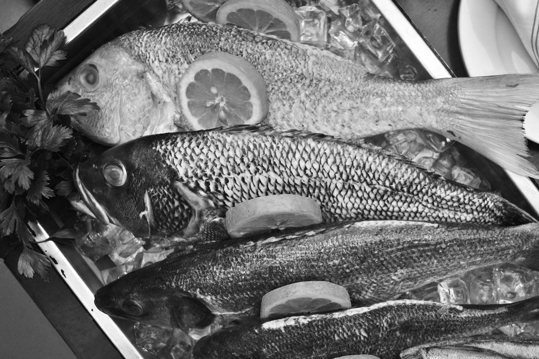 Fresh seafood displayed at Aliada Restaurant